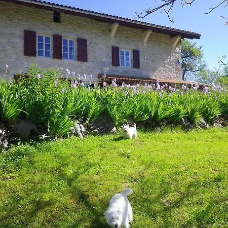 Chambre D'Hotes La Haie Fleurie Chevillard Exterior foto
